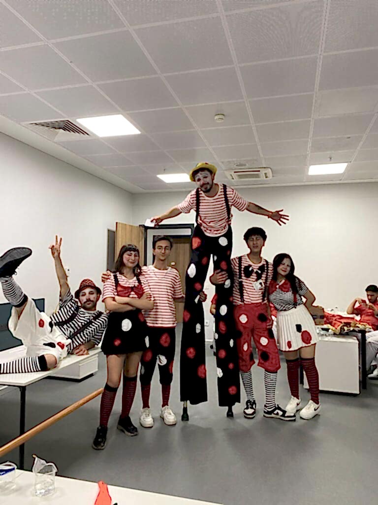 Festival Organizasyonu